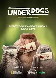 《废柴英雄》：逆袭之路，谁说屌丝不能拯救世界？爆笑超能力喜剧来袭！