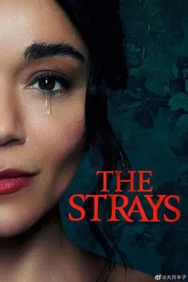 《流浪者TheStrays》深度解析：中产阶级的焦虑镜像，一部细思极恐的心理惊悚片！