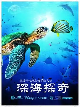 《深海探奇》：一场震撼心灵的深海之旅，探索未知，敬畏生命！