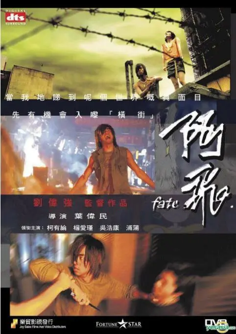 《阿飞》：迷失在都市丛林中的青春挽歌，一场关于成长与放逐的深情独白