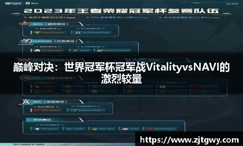 巅峰对决：世界冠军杯冠军战VitalityvsNAVI的激烈较量