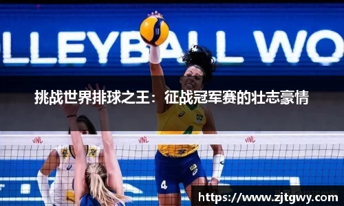 挑战世界排球之王：征战冠军赛的壮志豪情